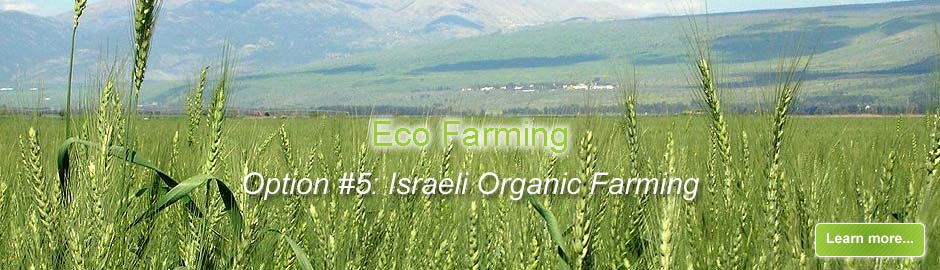 Israeli Organic Farming